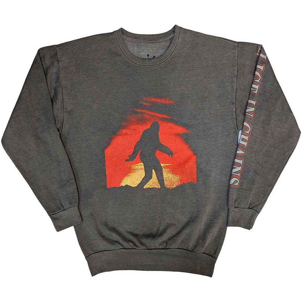 Een foto van een Alice In Chains Sweatshirt