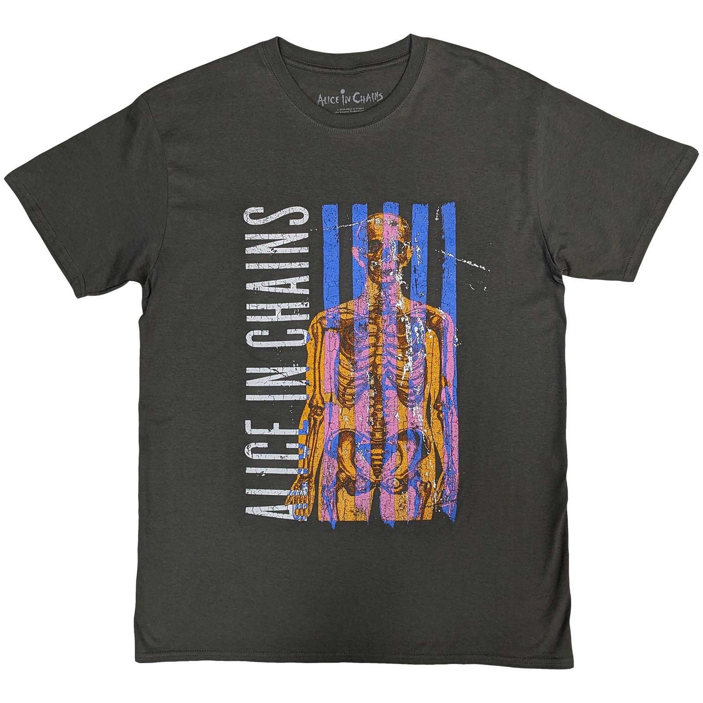 Een foto van een Alice In Chains T-Shirt