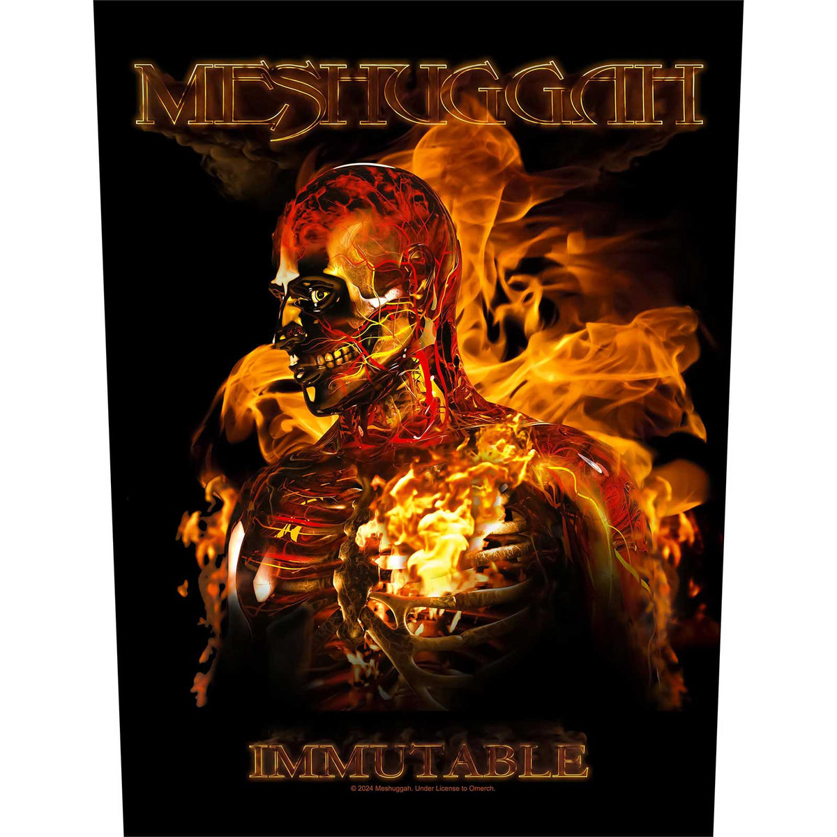 Een foto van een Meshuggah Achter Patch