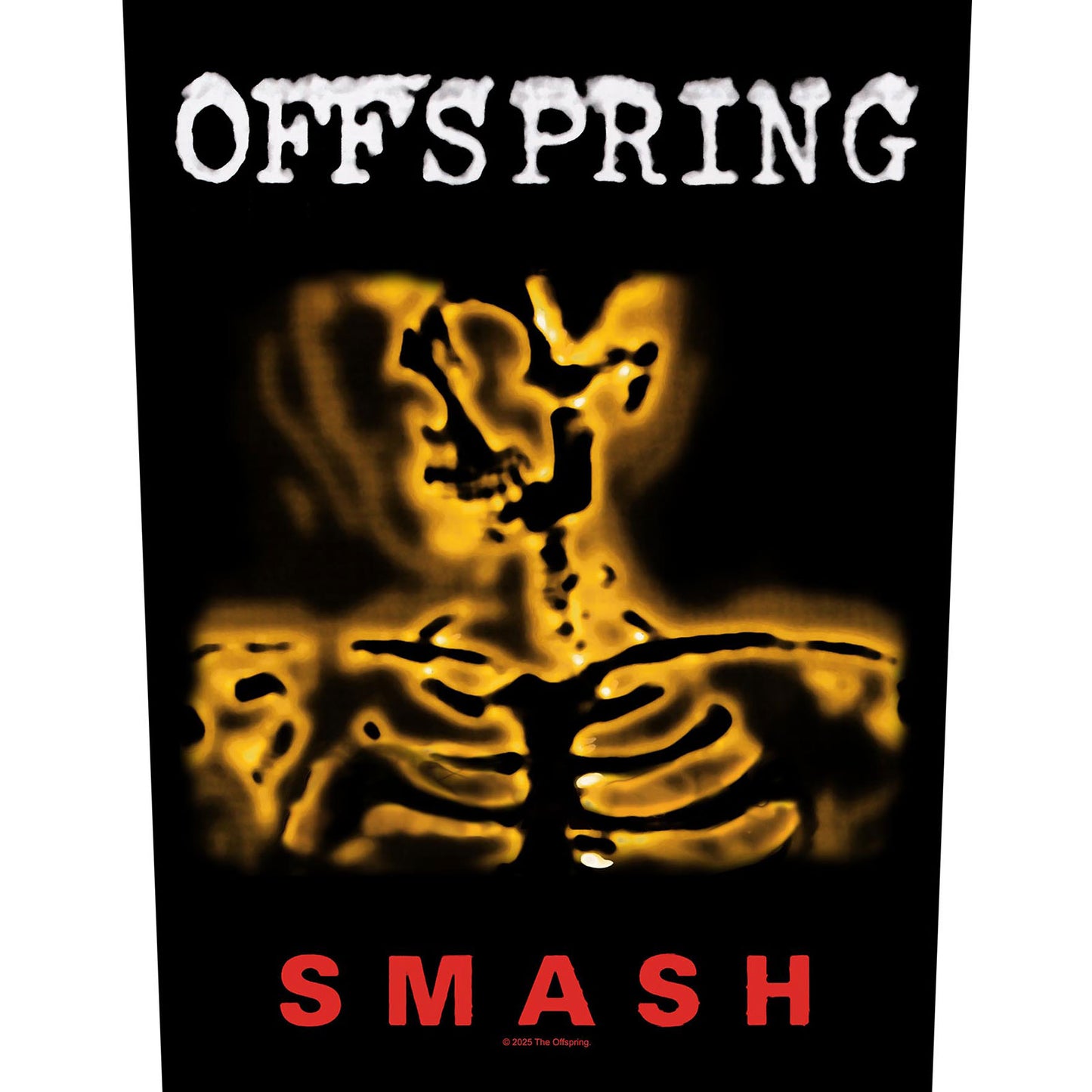 Een foto van een The Offspring Patch