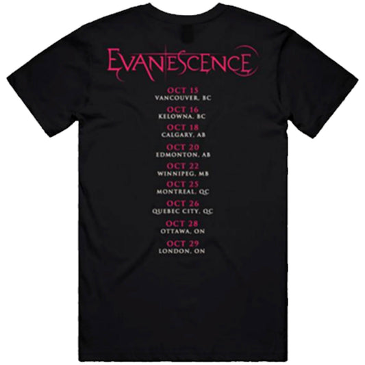 Een foto van een Evanescence T-Shirt
