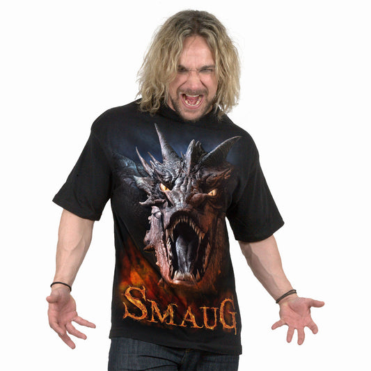 Een foto van een The Hobbit T-Shirt