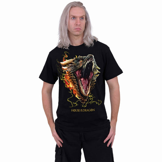 Een foto van een House of the Dragon T-Shirt