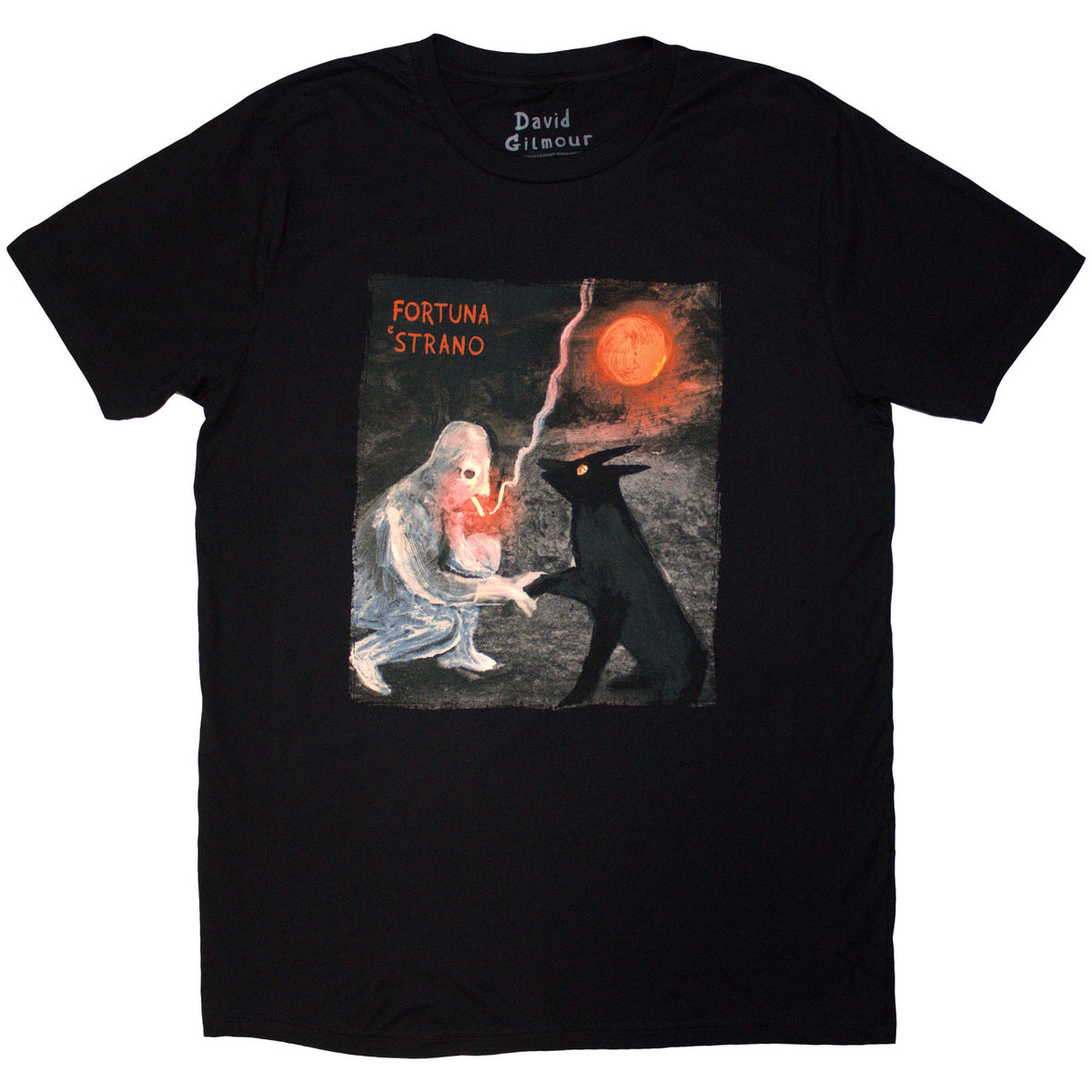 Een foto van een David Gilmour T-Shirt