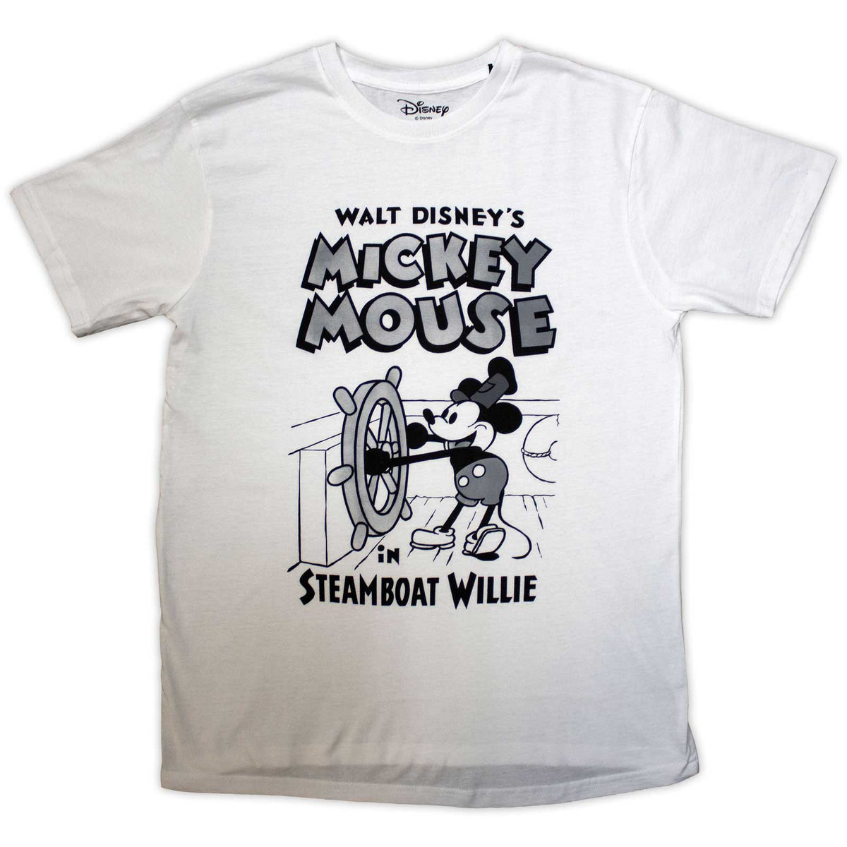 Een foto van een Disney T-Shirt