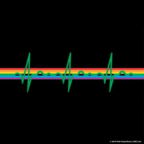 Pink Floyd Single Cork Coaster: Dark Side of the Moon Onderzetter