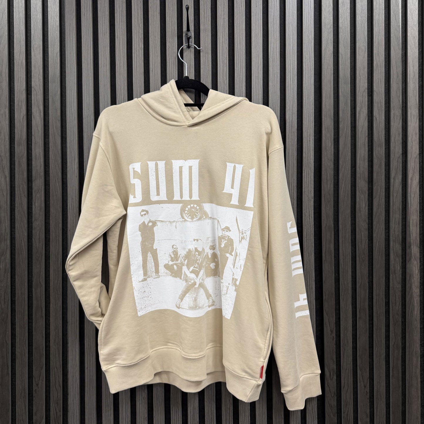 Een foto van een Sum 41 Hoodie