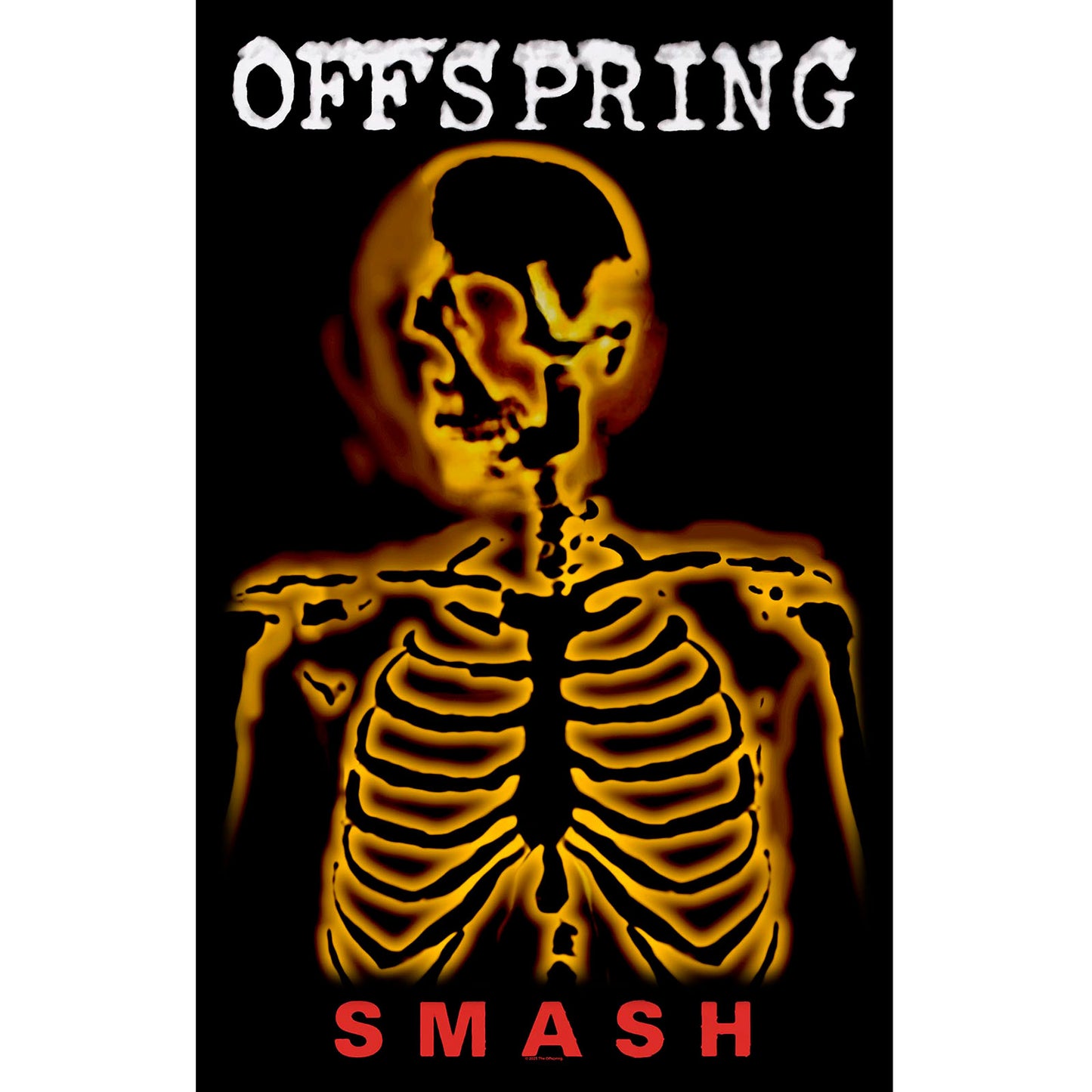 Een foto van een The Offspring Poster