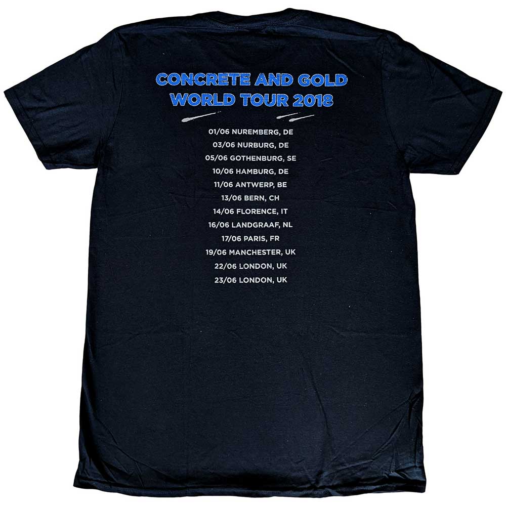 Foo Fighters Unisex T-Shirt: Classic Photo (Back Print) (Ex-Tour) T-Shirt