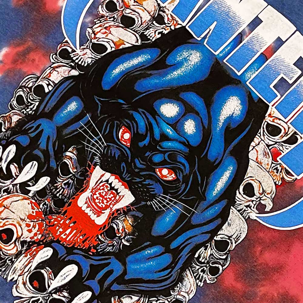 Pantera Unisex T-Shirt: Panther (Wash Collection) T-Shirt