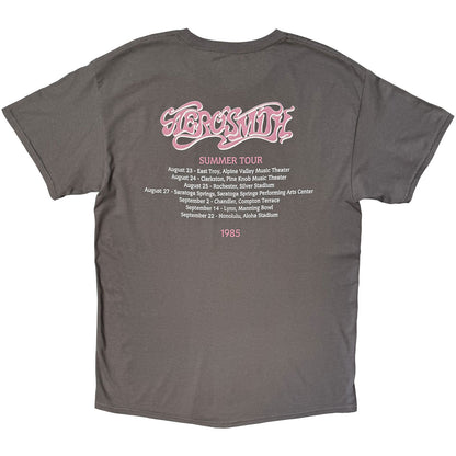 Een foto van een Aerosmith T-Shirt
