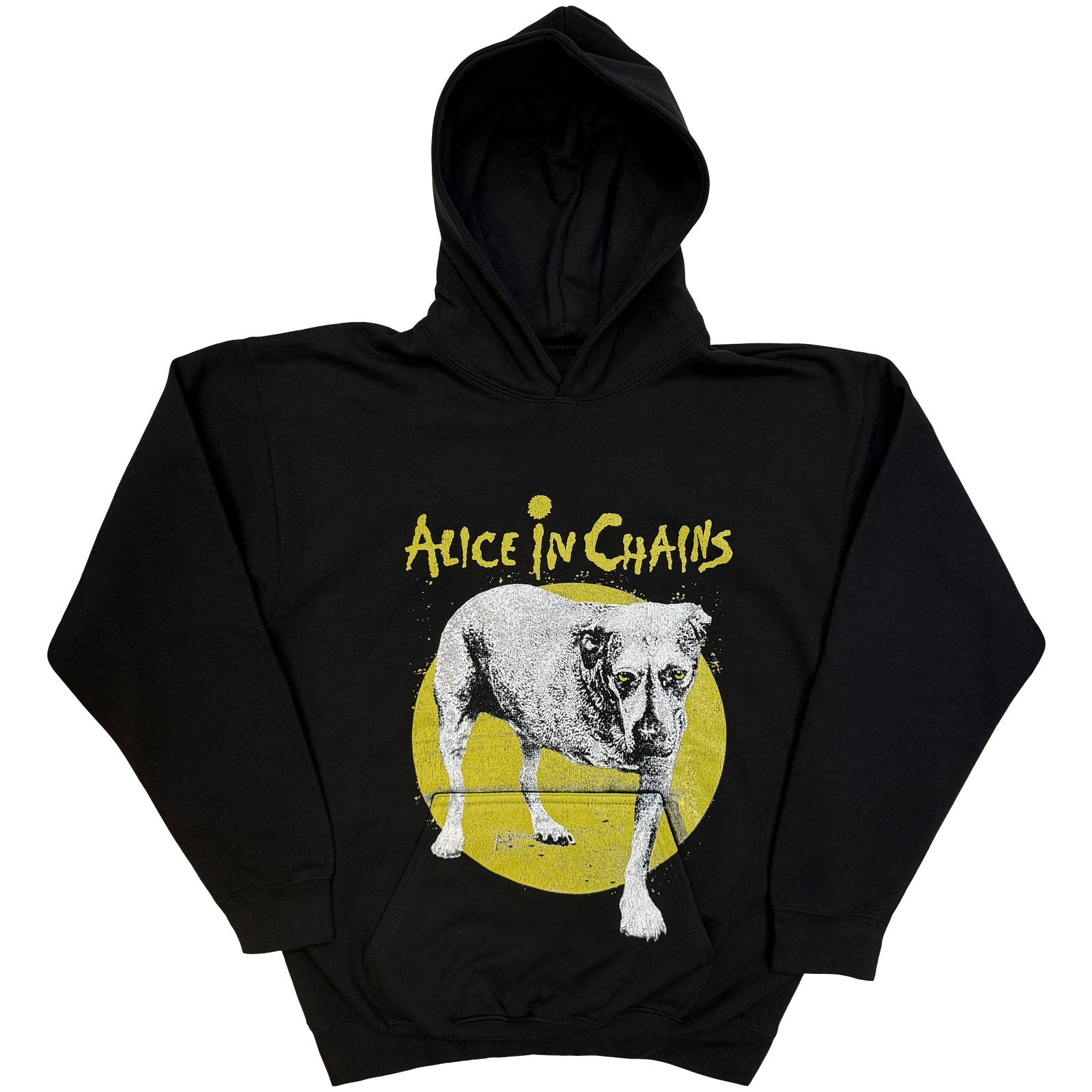 Een foto van een Alice In Chains Pullover Hoodie