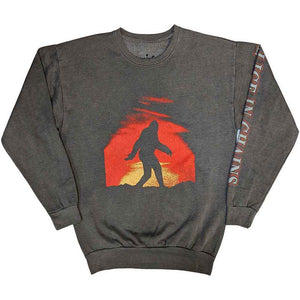 Een foto van een Alice In Chains Sweatshirt