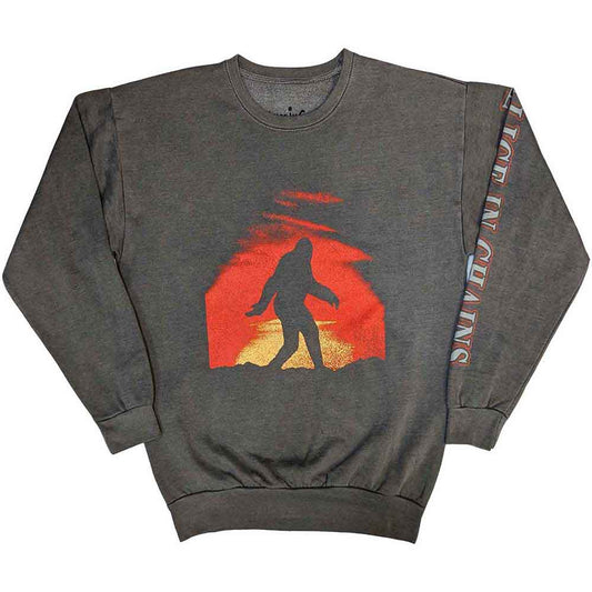 Een foto van een Alice In Chains Sweatshirt
