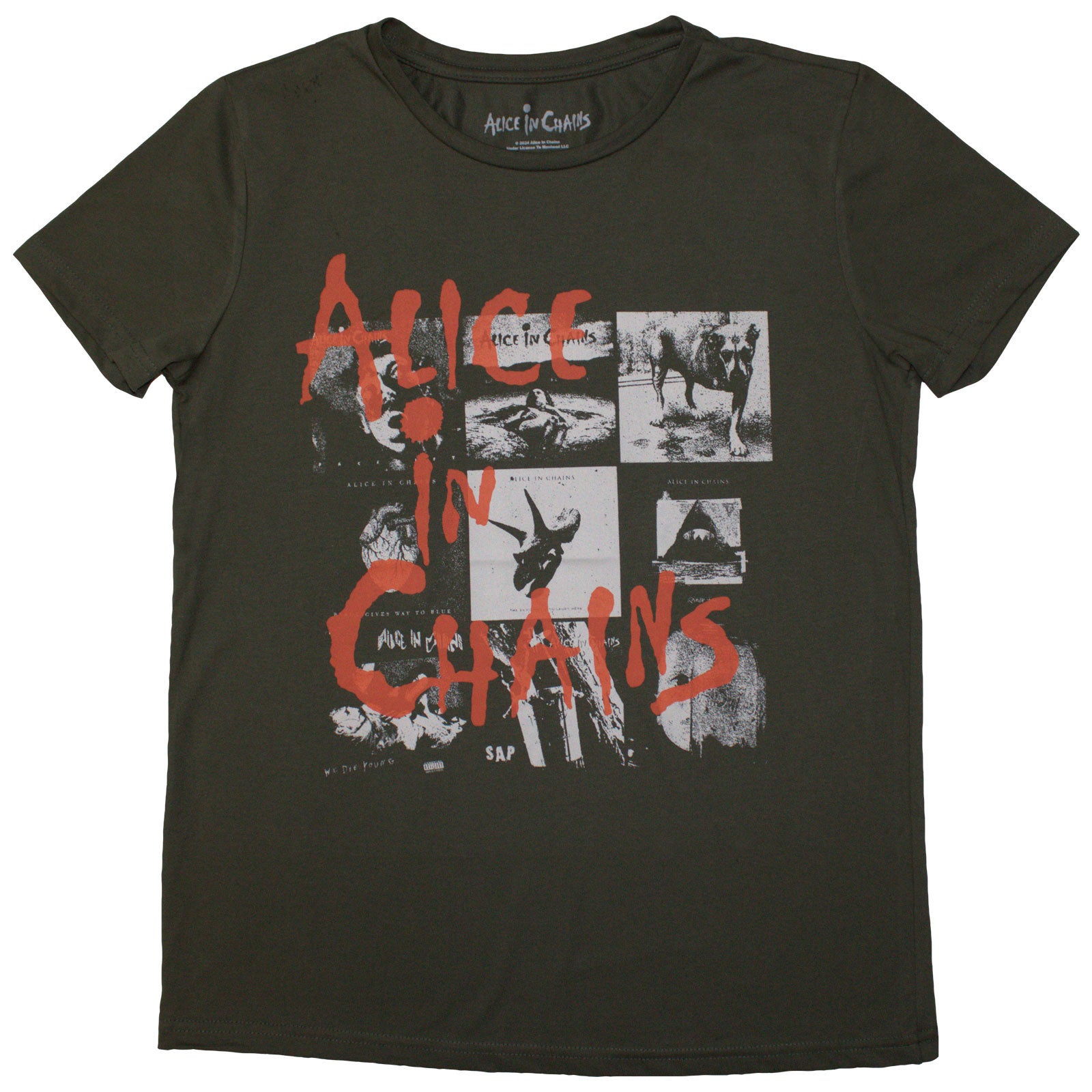 Een foto van een Alice In Chains T-Shirt