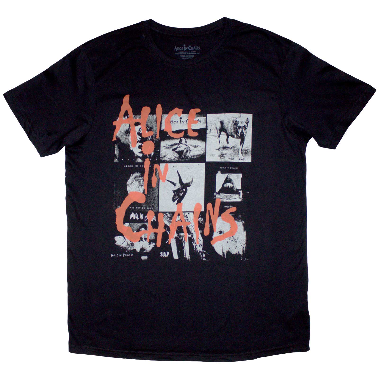 Een foto van een Alice In Chains T-Shirt
