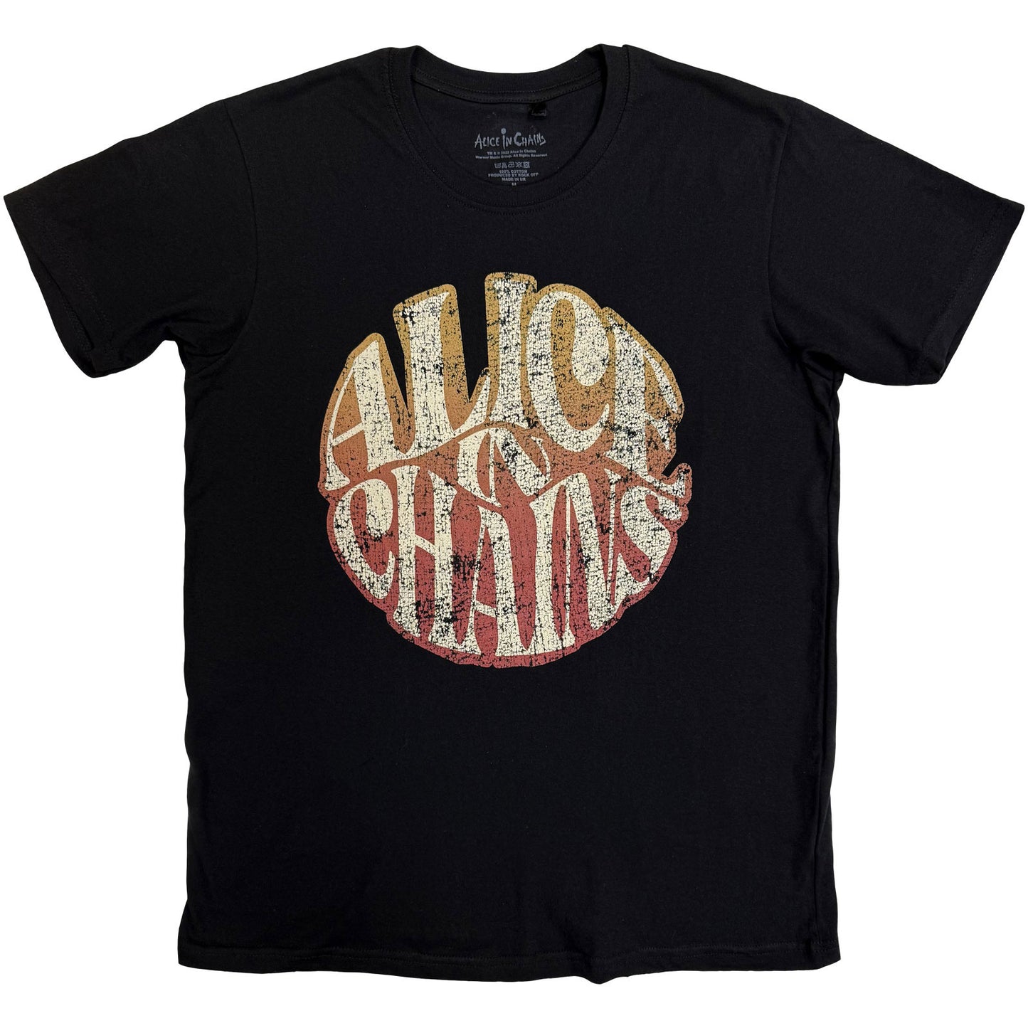 Een foto van een Alice In Chains T-Shirt