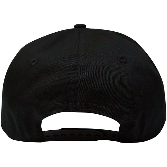 Een foto van een A Tribe Called Quest Snapback Pet