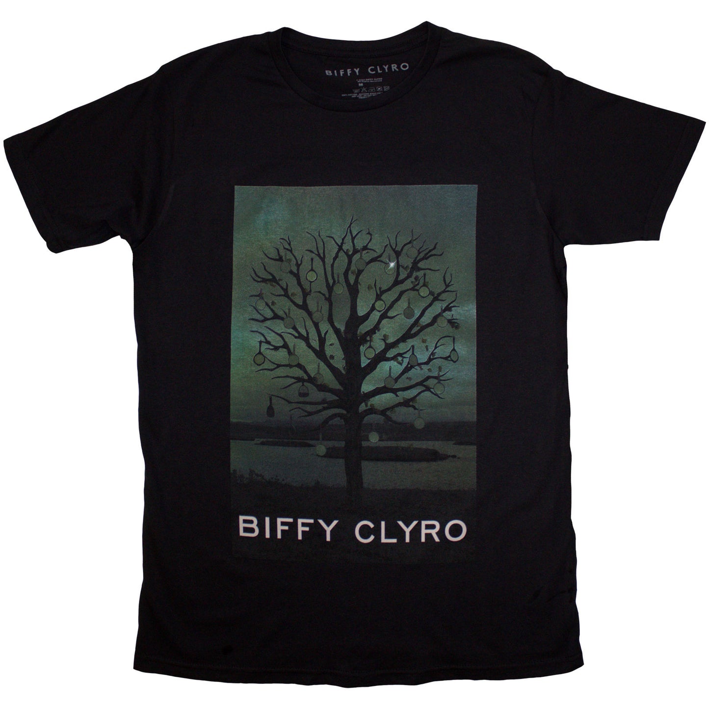 Een foto van een Biffy Clyro T-Shirt