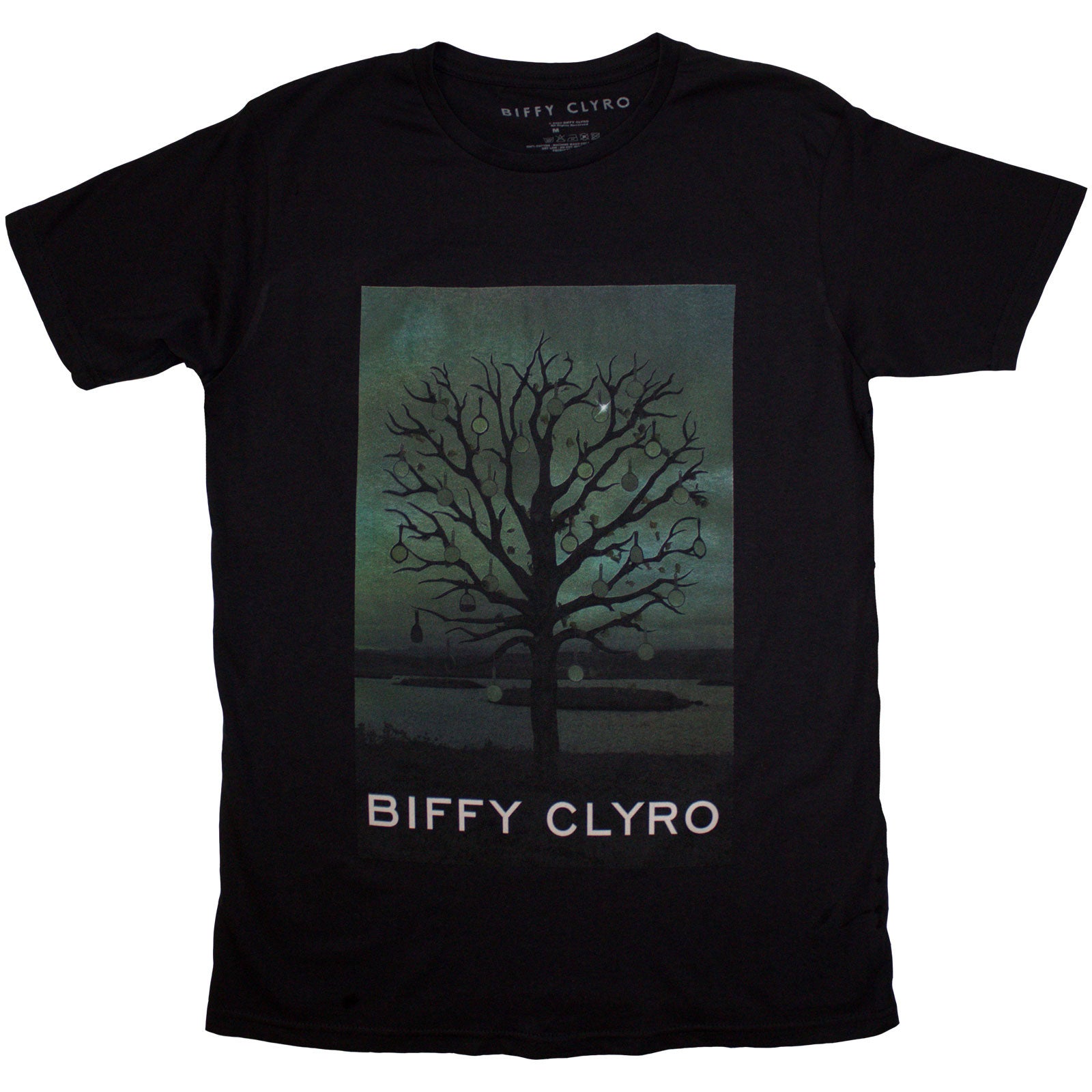 Een foto van een Biffy Clyro T-Shirt