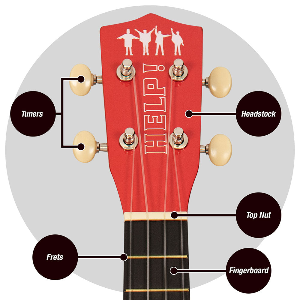 Een foto van een The Beatles Muziekinstrument & Accessoire