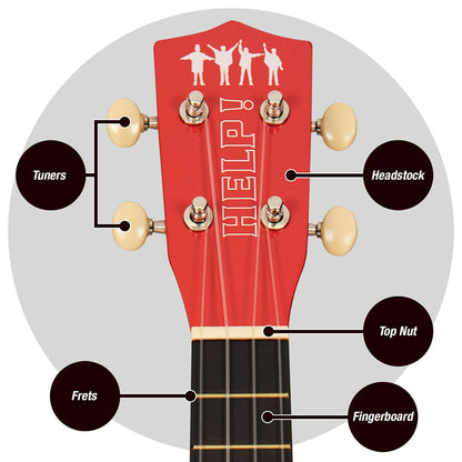 Een foto van een The Beatles Muziekinstrument & Accessoire