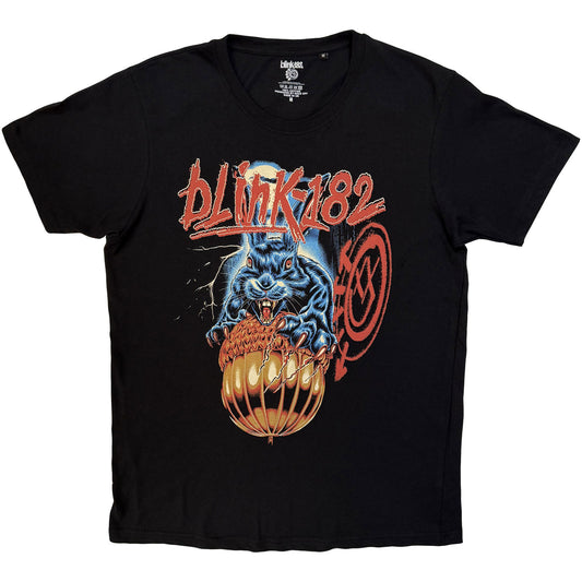 Een foto van een Blink-182 T-Shirt