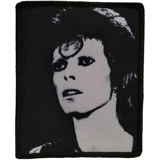 Een foto van een David Bowie Unknown subcategory