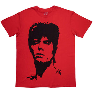 Een foto van een David Bowie T-Shirt
