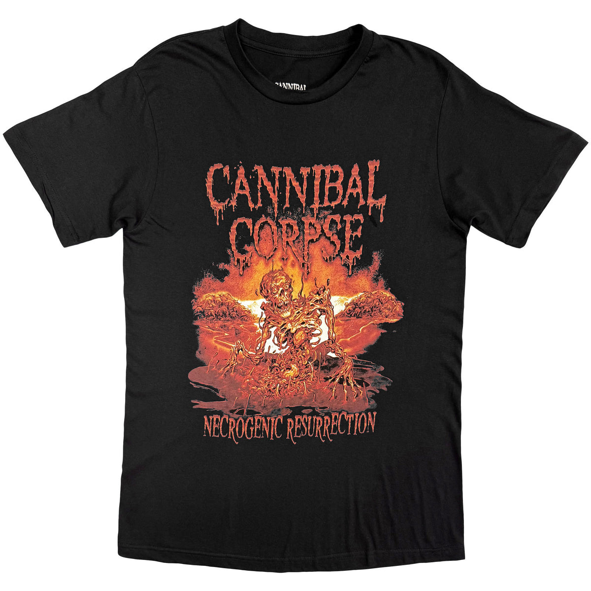 Een foto van een Cannibal Corpse T-Shirt