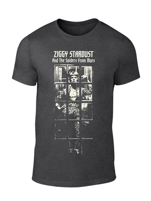 Een foto van een DAVID BOWIE T-Shirt