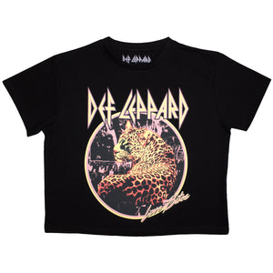 Een foto van een Def Leppard T-Shirt
