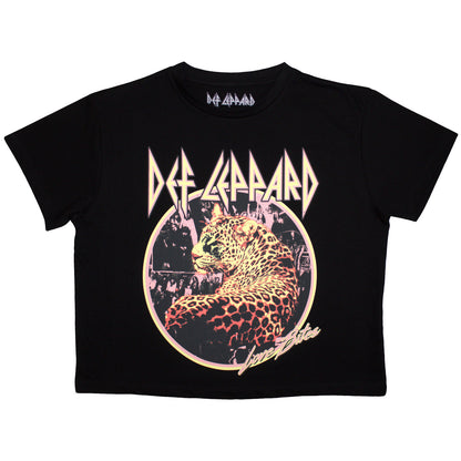 Een foto van een Def Leppard T-Shirt
