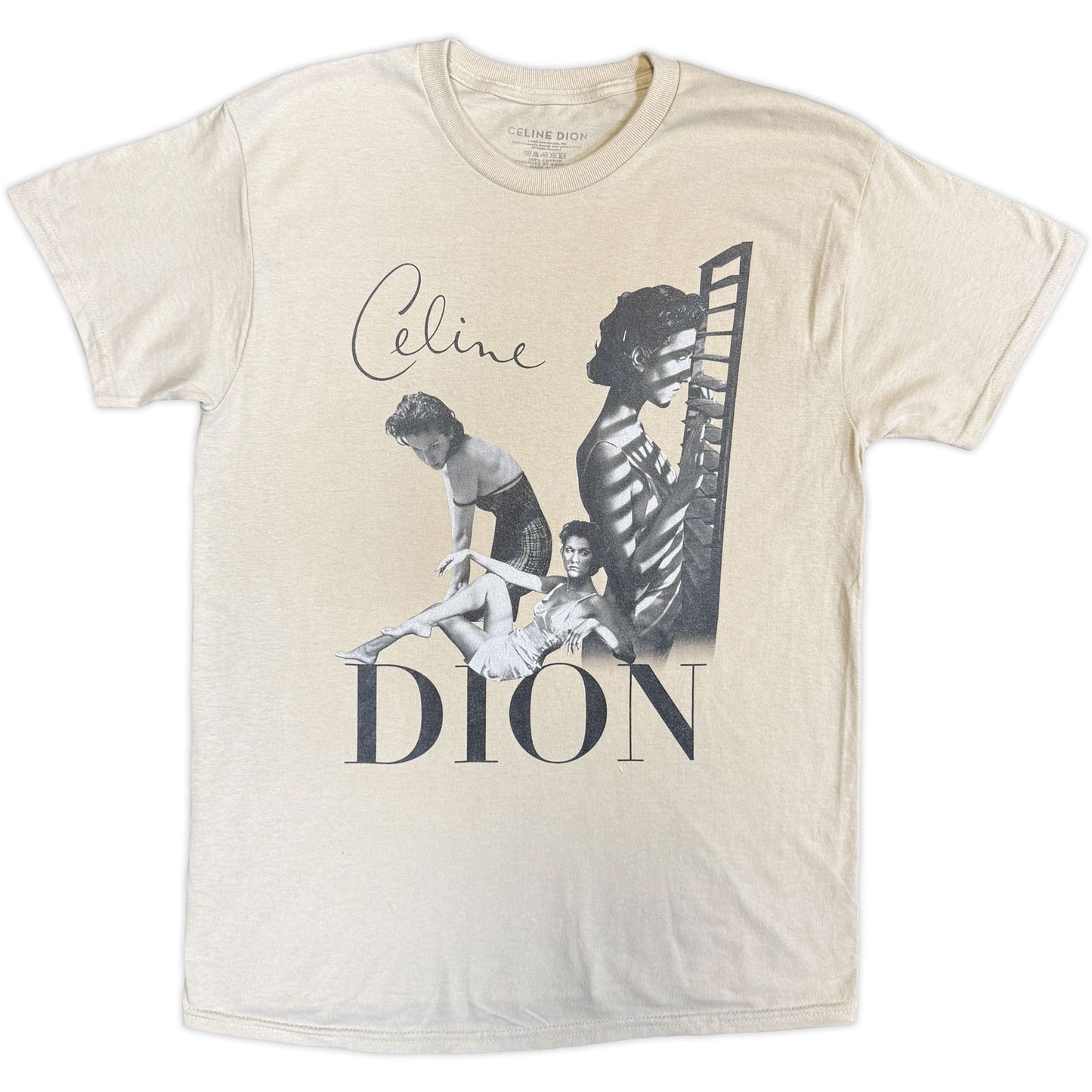Een foto van een Celine Dion T-Shirt