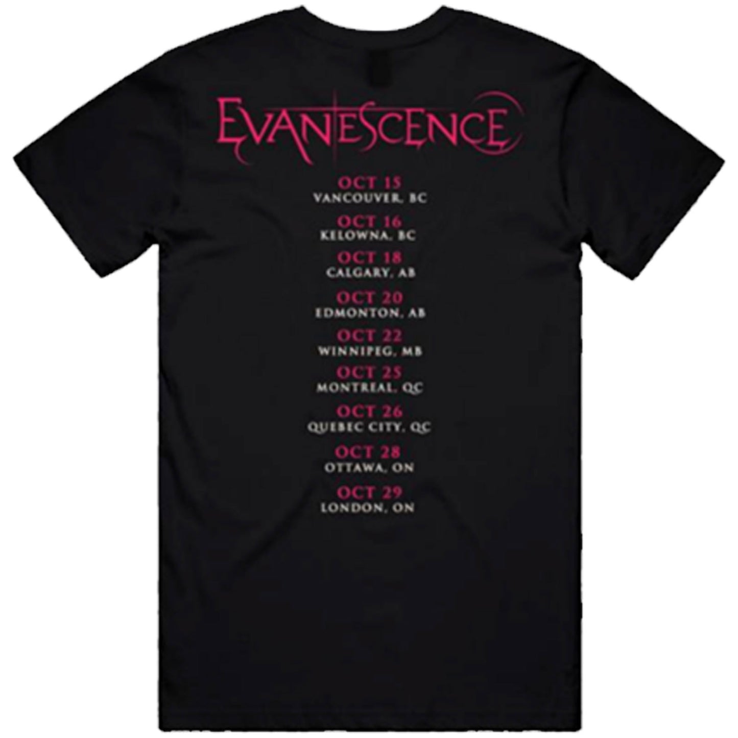 Een foto van een Evanescence T-Shirt