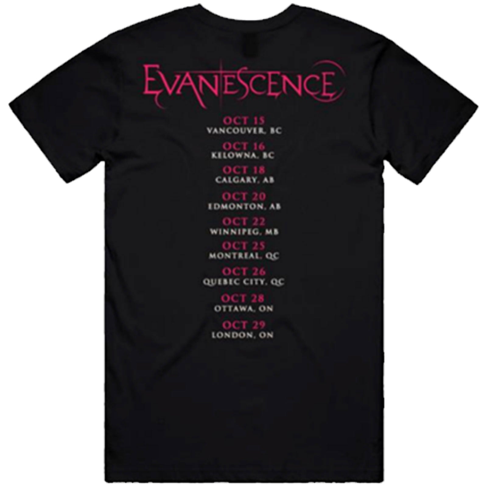 Een foto van een Evanescence T-Shirt