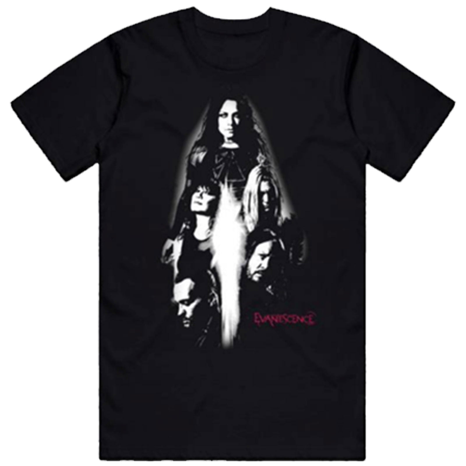 Een foto van een Evanescence T-Shirt