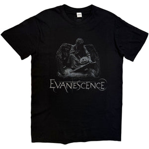 Een foto van een Evanescence T-Shirt
