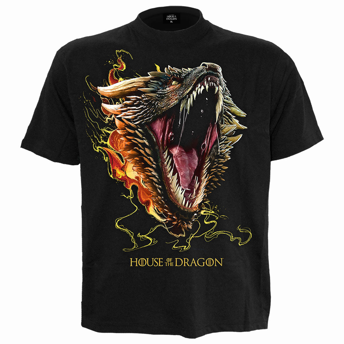 Een foto van een House of the Dragon T-Shirt
