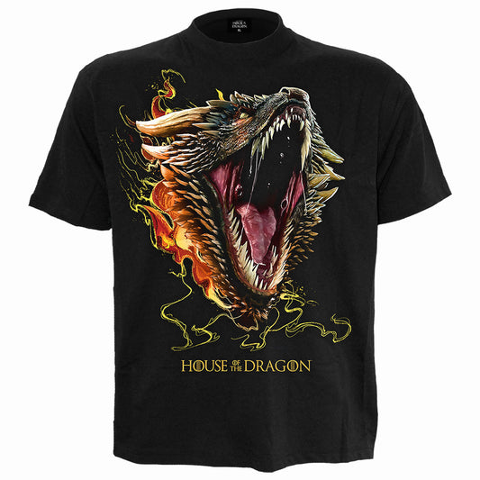 Een foto van een House of the Dragon T-Shirt