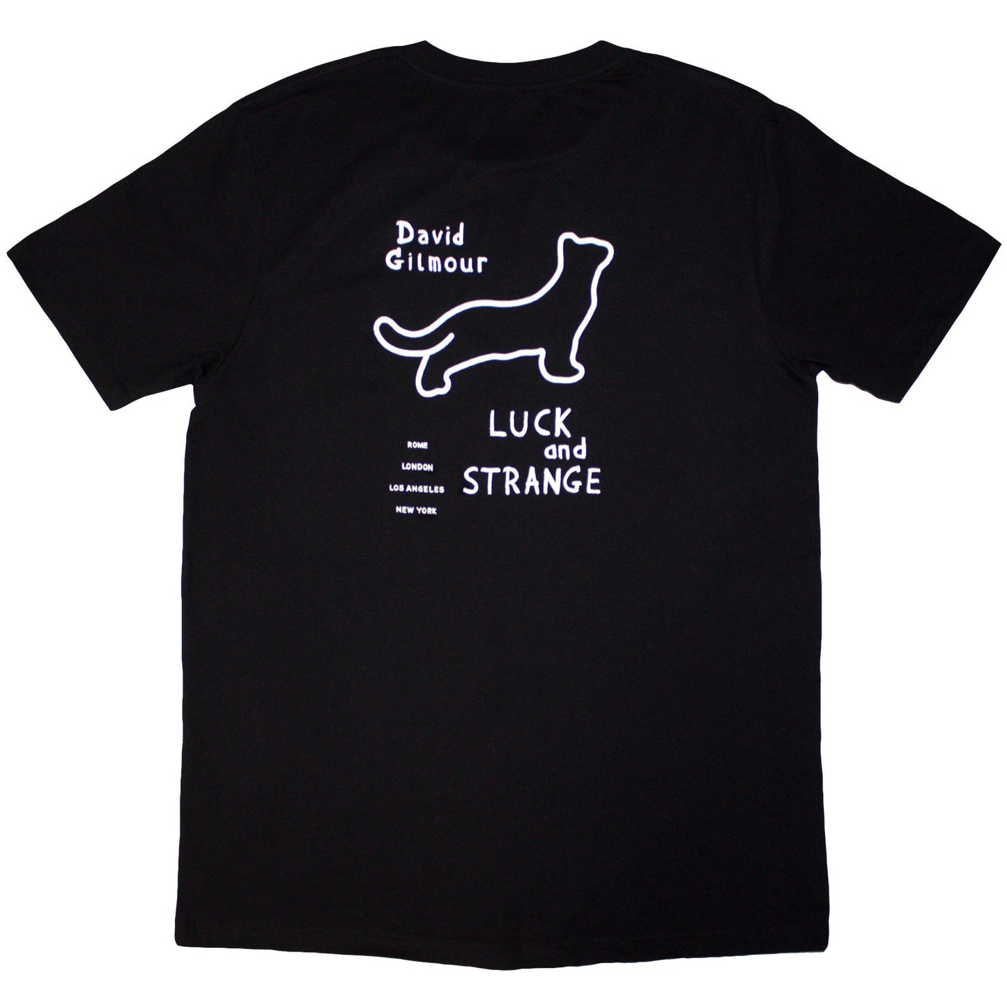 Een foto van een David Gilmour T-Shirt
