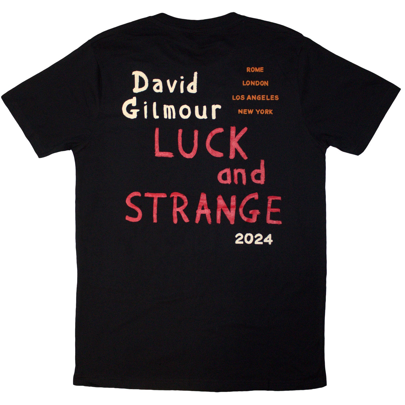 Een foto van een David Gilmour T-Shirt