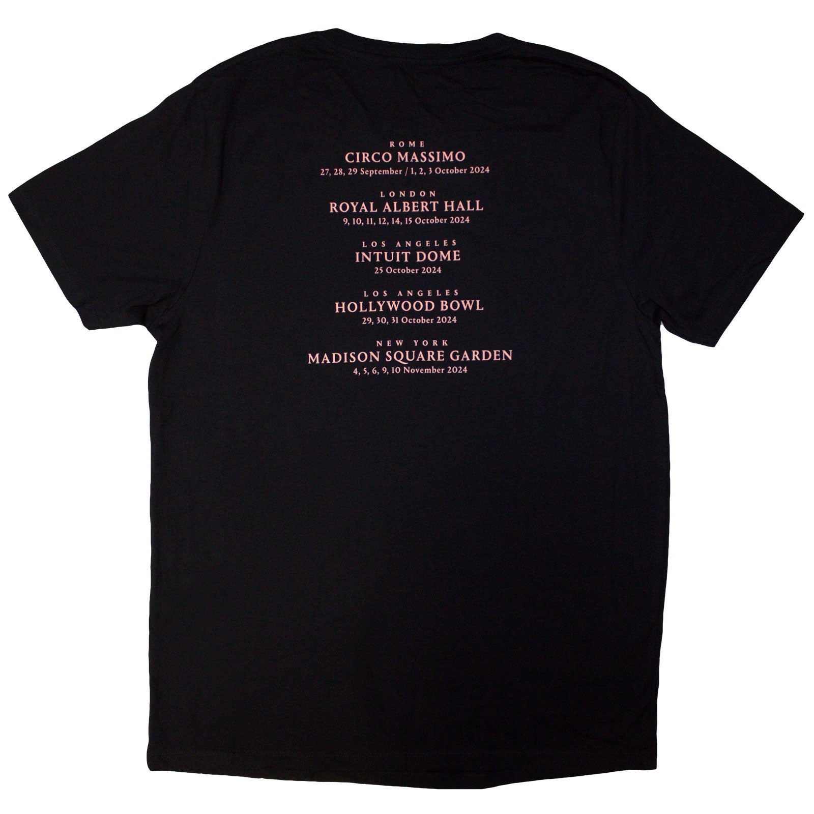 Een foto van een David Gilmour T-Shirt