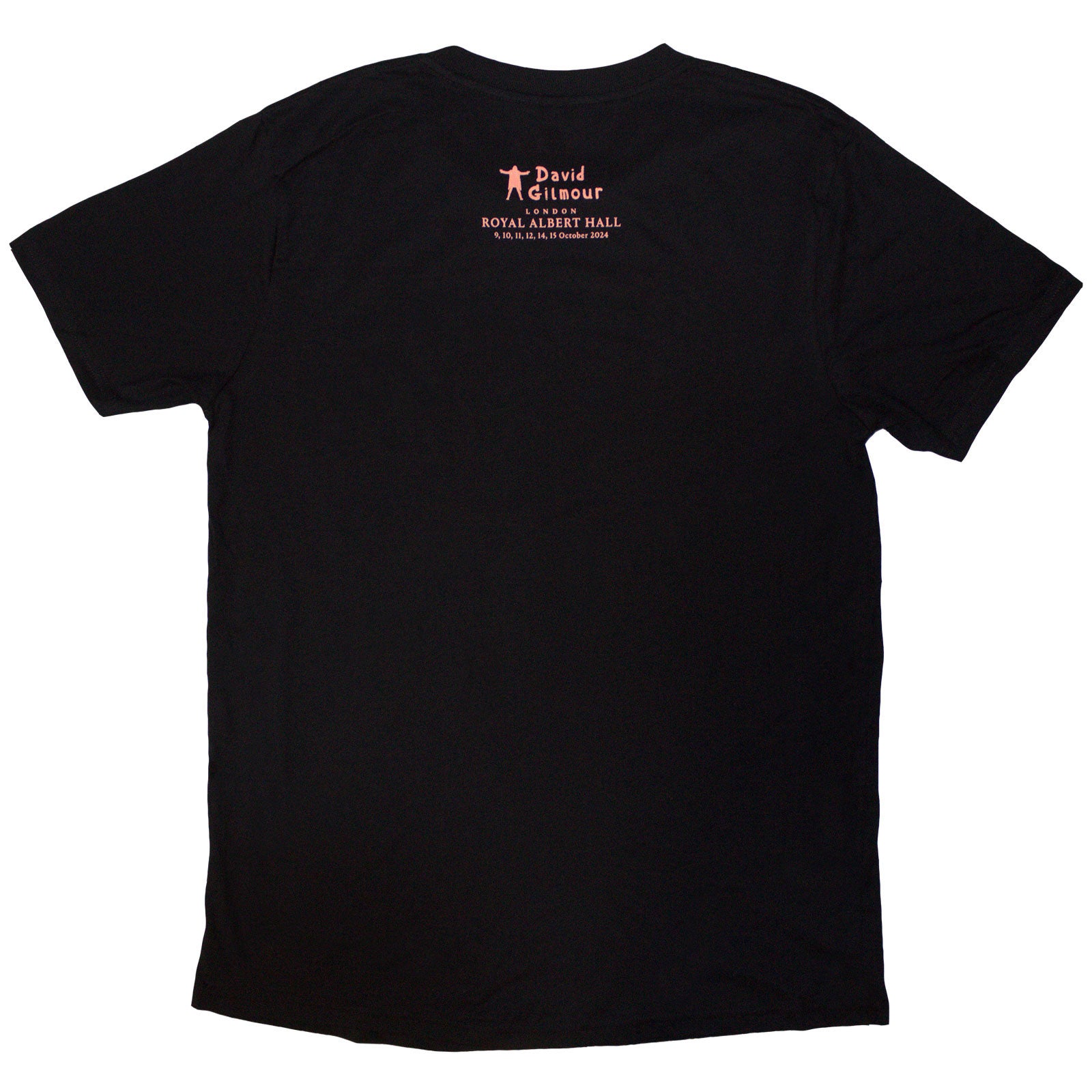 Een foto van een David Gilmour T-Shirt
