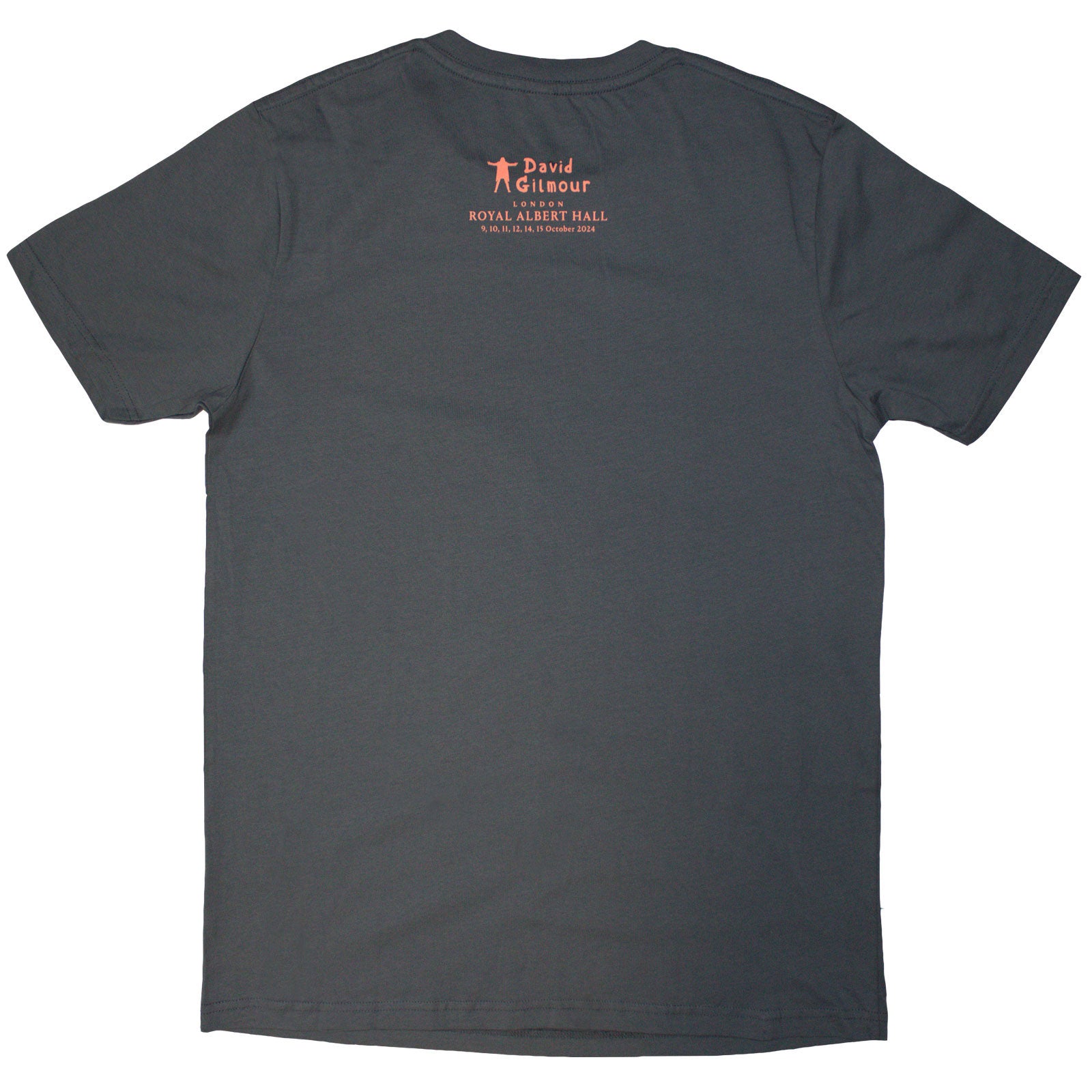 Een foto van een David Gilmour T-Shirt