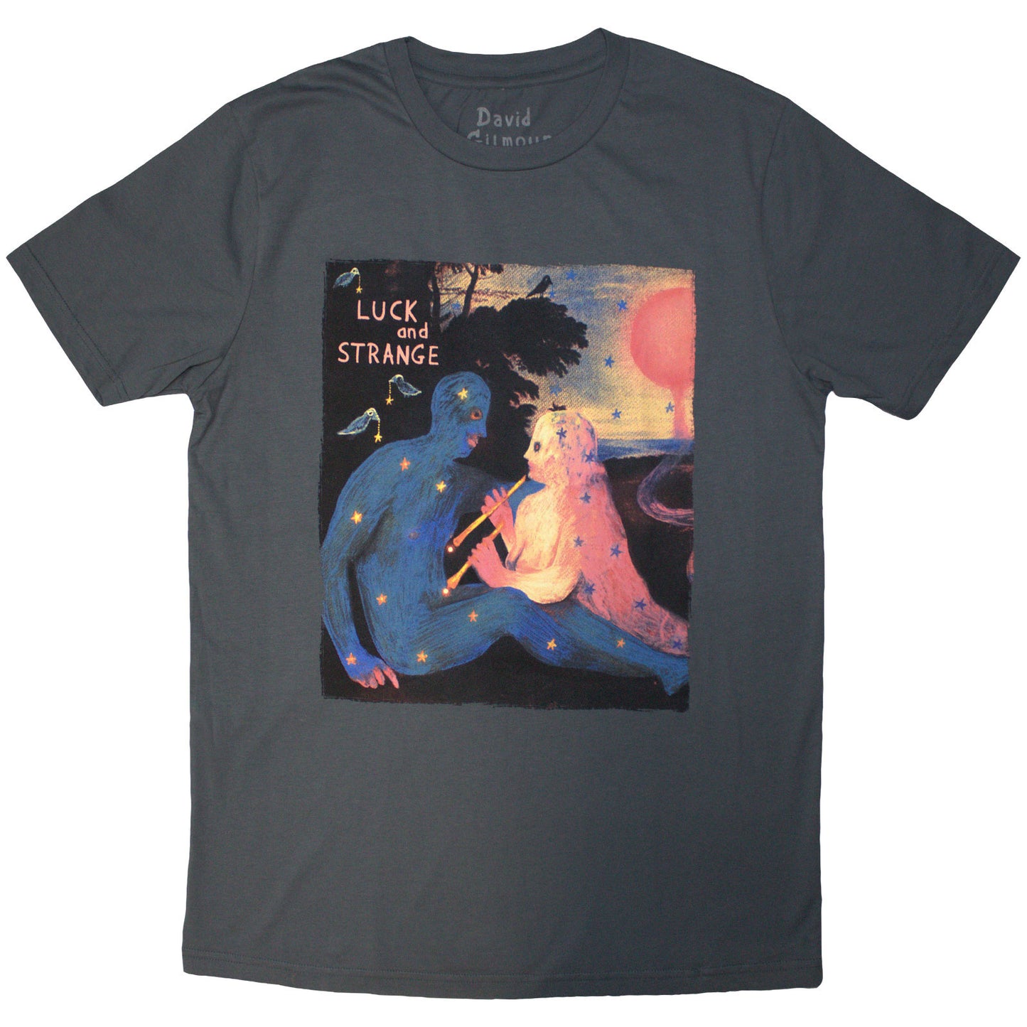 Een foto van een David Gilmour T-Shirt