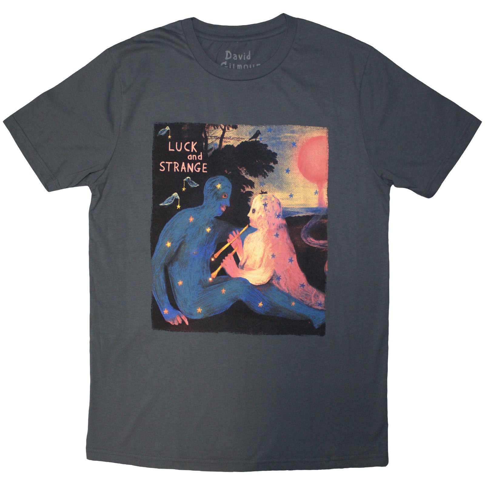 Een foto van een David Gilmour T-Shirt