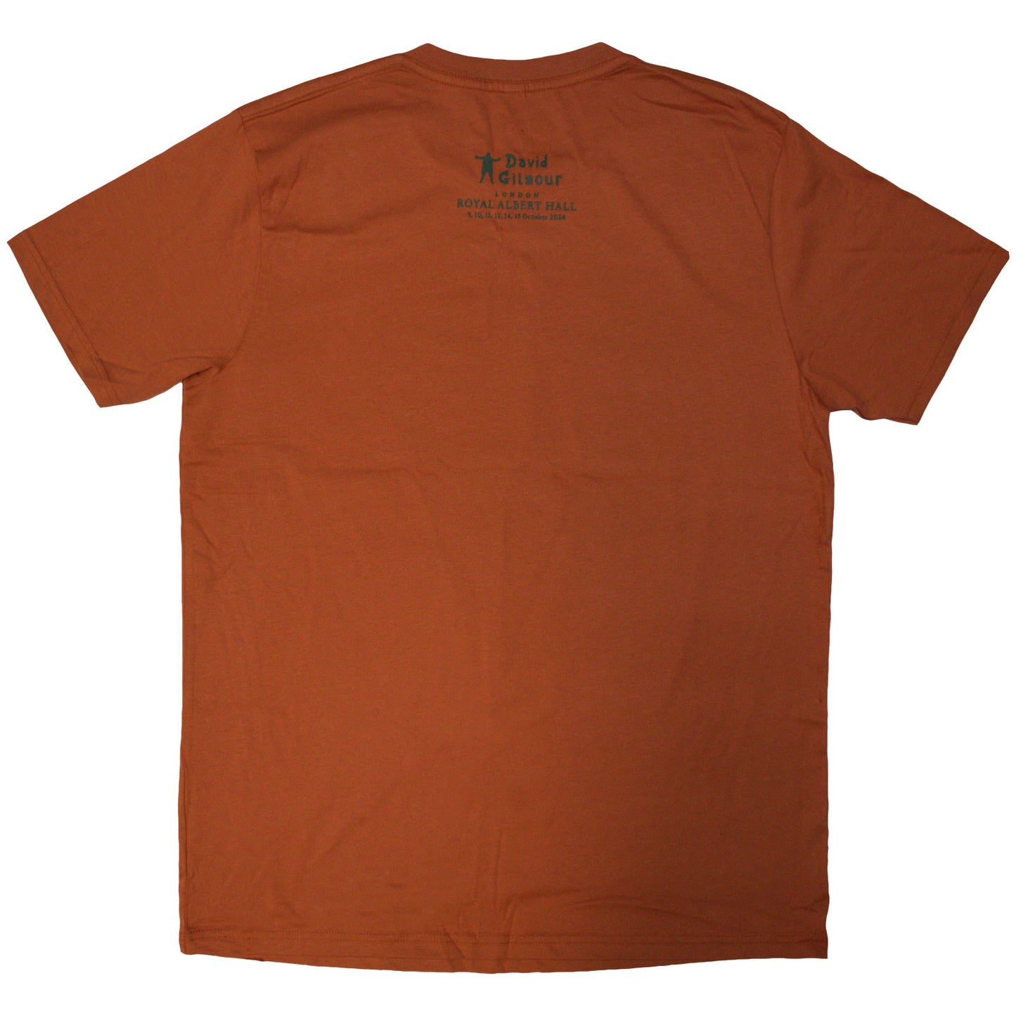 Een foto van een David Gilmour T-Shirt