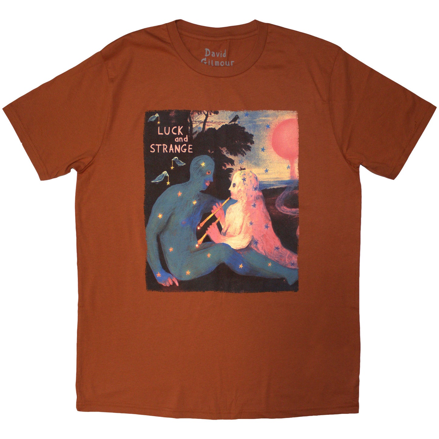 Een foto van een David Gilmour T-Shirt