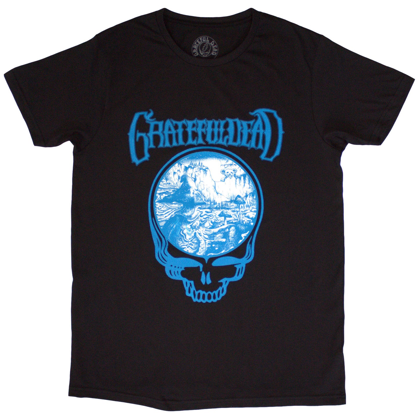 Een foto van een Grateful Dead T-Shirt
